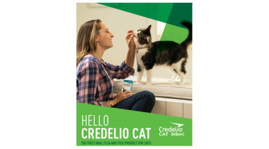 Credelio flea outlet treatment